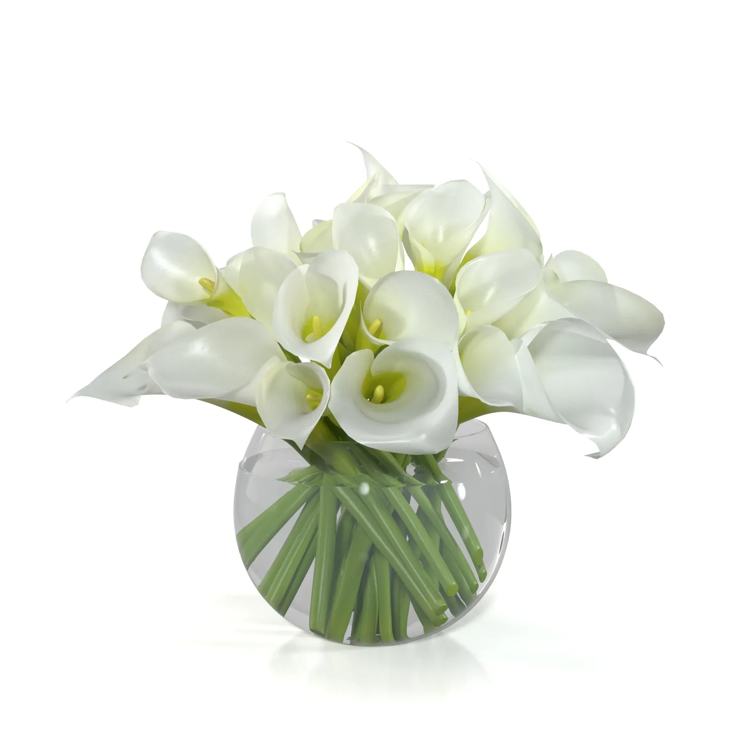 Floating Calla Lily in glass vase PBR 3D Model_01